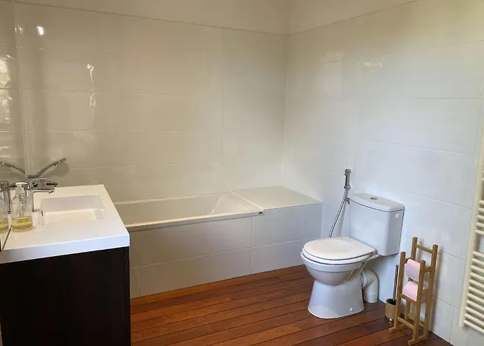 Lutzy Maison Moderne Au Calme Piscine * La Teste-de-Buch